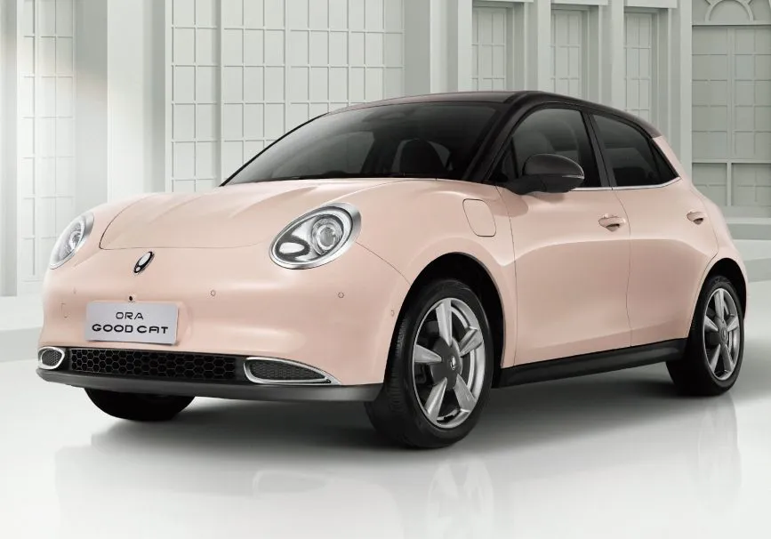 ORA Good Cat